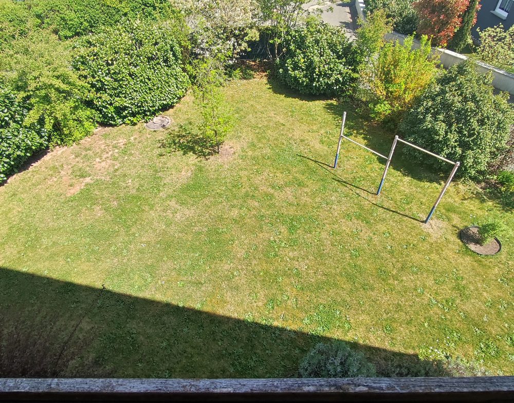 Blick in den Garten
