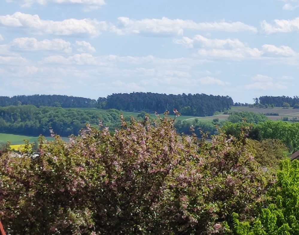 Weitblick