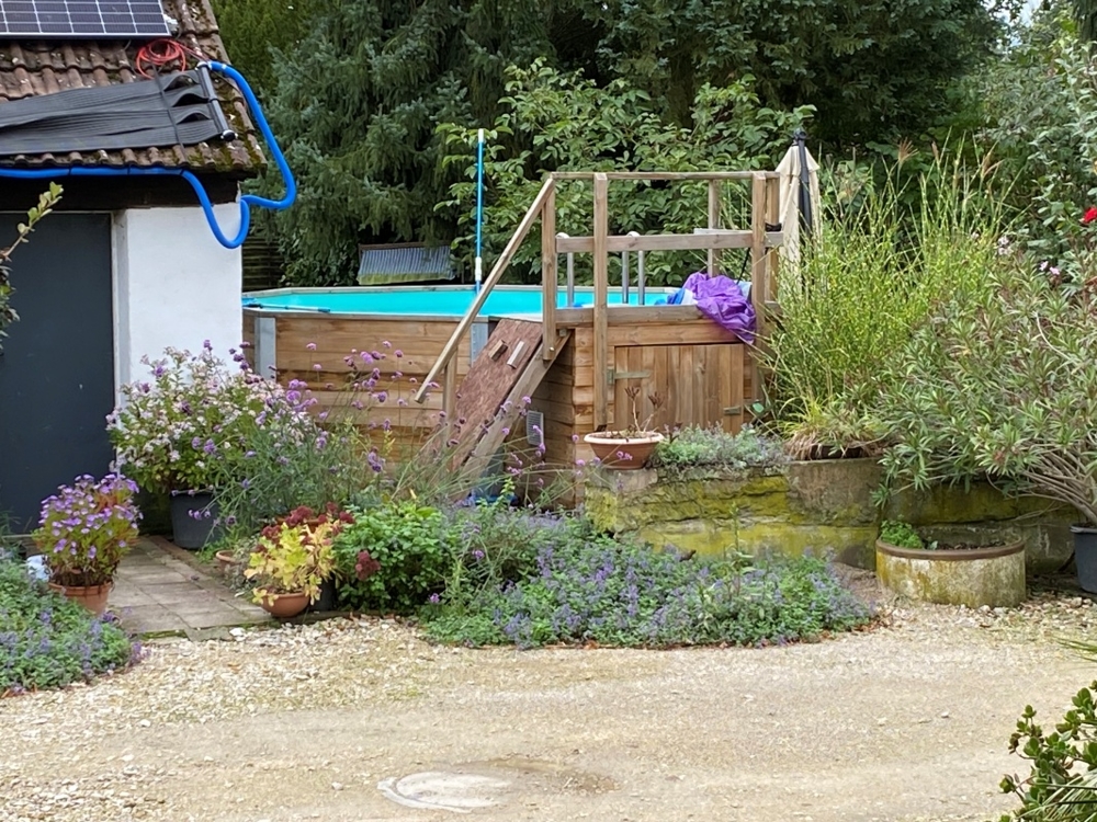 Teilgarten mit Pool