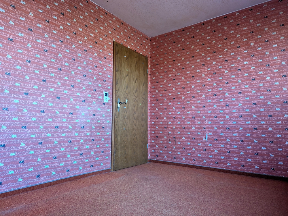 Zimmer EG 