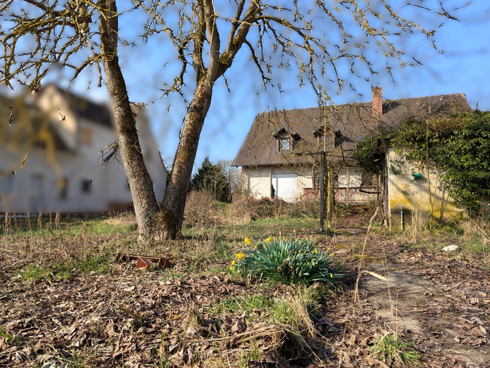 Gartenansicht