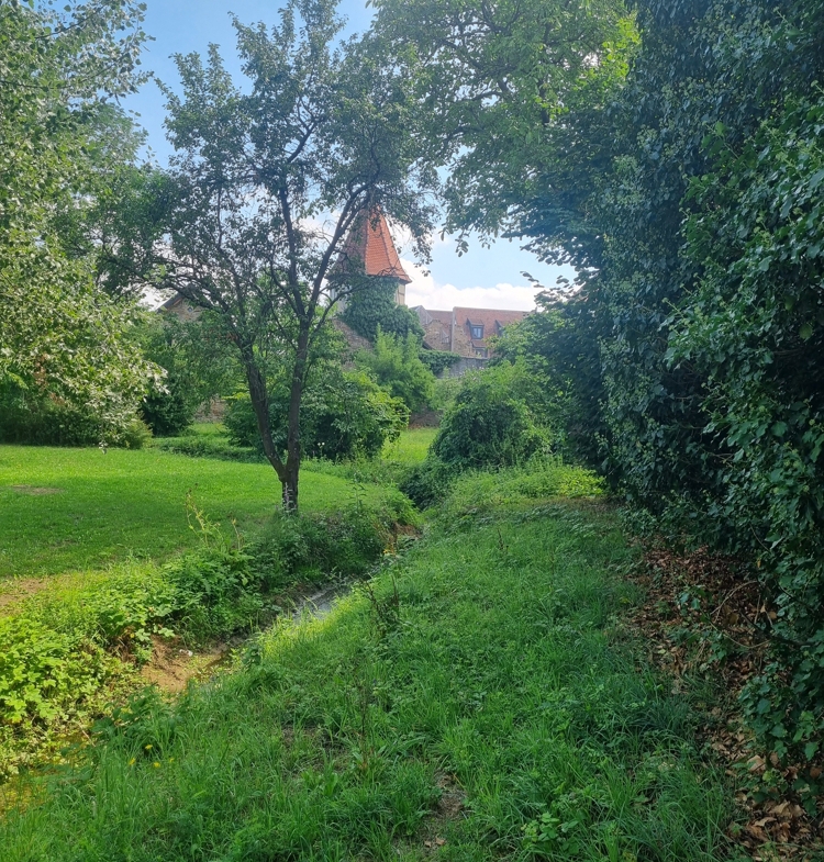 Bachlauf