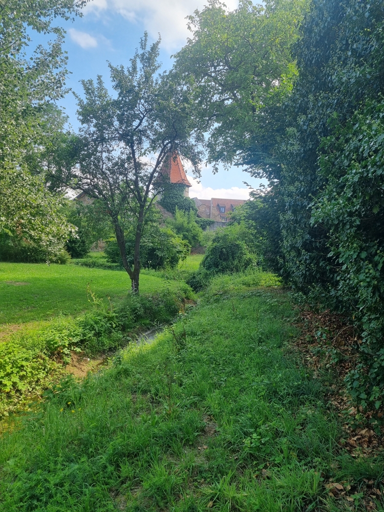 Bachlauf